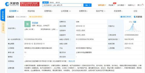 深見網絡科技注銷，金拱門中國為大股東引發行業關注